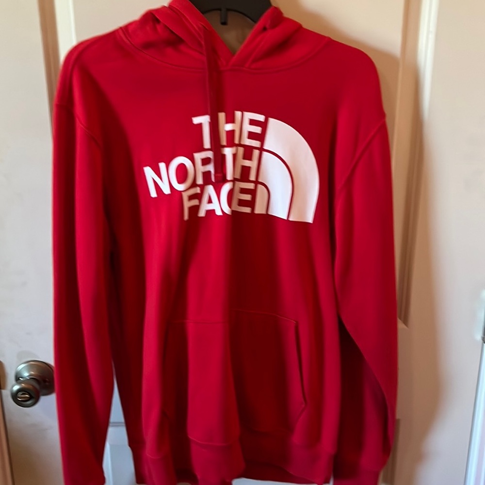 The north face hoodie in good condition